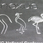 Flamingos Engraved on Nexus 7