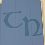 Blue iPad mini Cover